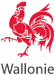 Logo_Wallonie