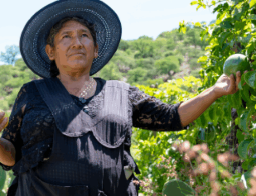 Analyse 2025 – Tout le monde à table ? Luttes paysannes et syndicales pour une transition juste des systèmes alimentaires