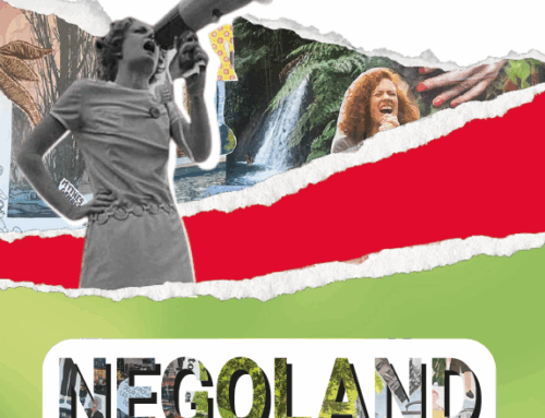 Outil pédagogique – Négoland