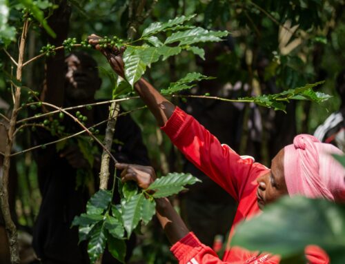 Pas de transition juste sans protection sociale