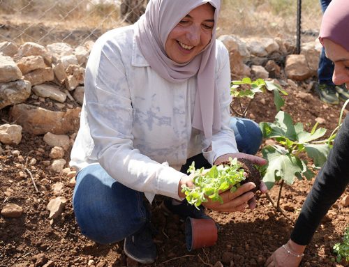 Analyse 2026 – Palestine : quand l&rsquo;occupation confisque aussi le travail des femmes