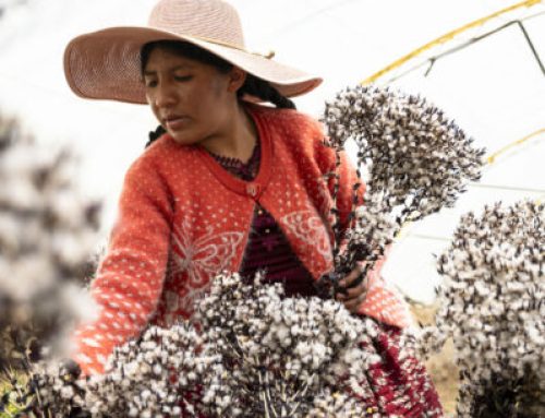 Femme et agricultrice, dans le sud du monde