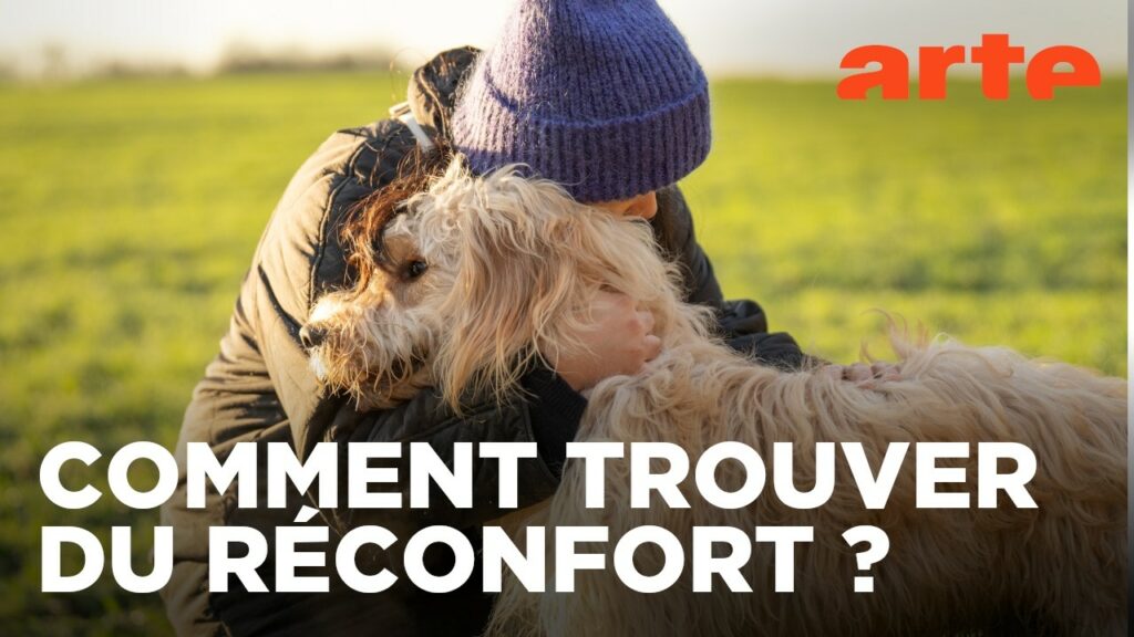 reconfort
