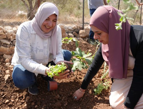 En Palestine, l’occupation étouffe l’emploi des femmes